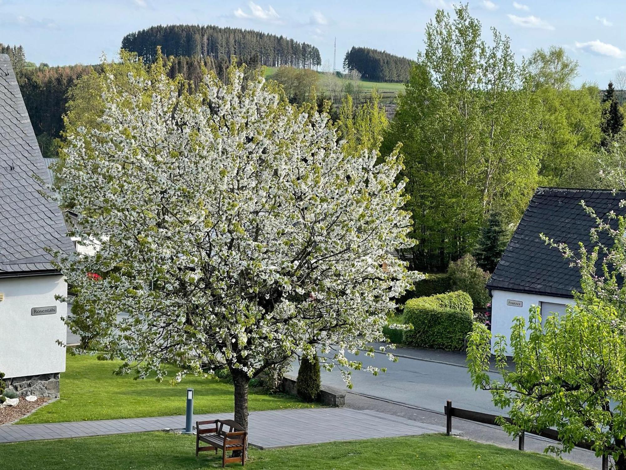 Pension Sonnenheim Винтерберг Экстерьер фото